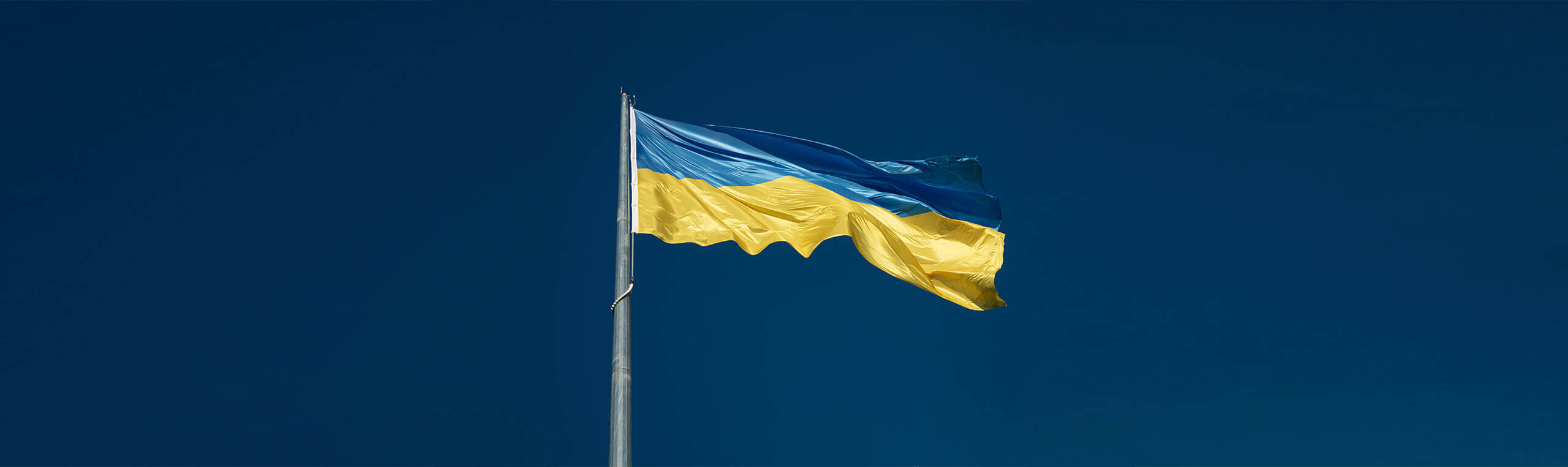 translation-services-dcu-banner-website-2560x762-ukrainian-translation